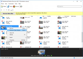 DiskInternals Partition Recovery™ DiskInternals Partition Recovery - es werden wiederherstellbare Dateien, die mit einem roten Kreuz markiert sind angezeigt.